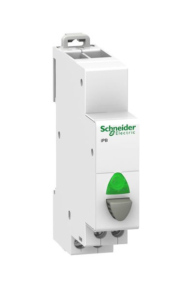 Schneider (A9E18036) iPB 1NA Kontaklı- Tekli Işıklı Butonlar, Gri + Yeşil Işık