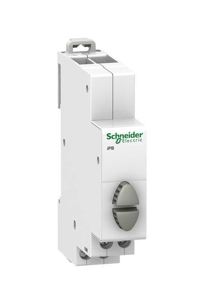 Schneider (A9E18035) iPB 1NA/1NA Kontaklı- Çitfli Butonlar, Gri Gri