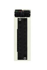 Schneider (BMXAMO0410) 4 çıkış