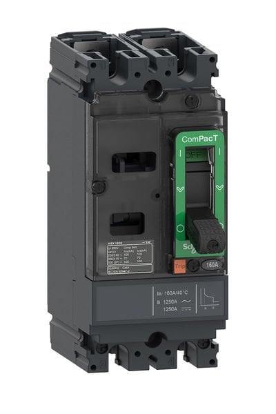 Schneider (C10F2TM100) DC Devre Kesici NSX100F 100A 2P 36KA AC/DC