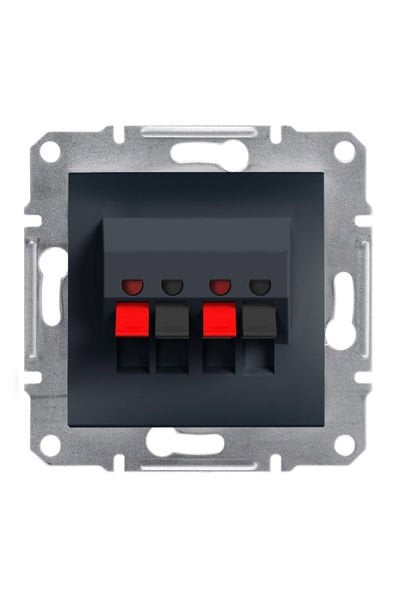 Schneider (EPH5700171) Asfora İkili Hoparlör PrizI,Antrasit