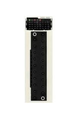 Schneider (BMXDDO1602) 16 Çıkış (Transistör)