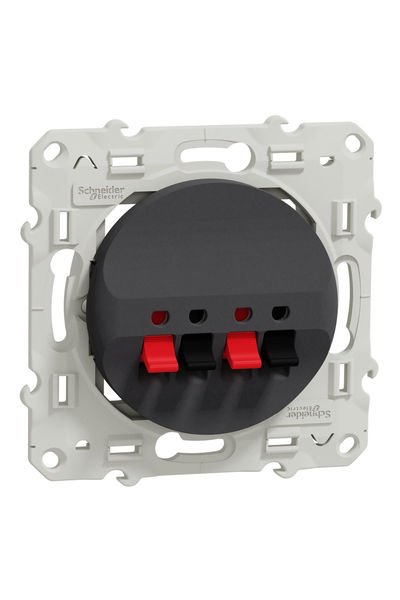Schneider (S540488) Odace Hoparlör Prizi, ikili - Antrasit