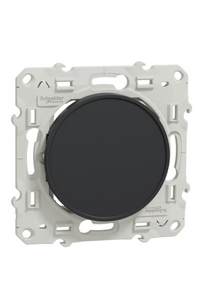 Schneider (S540666) Odace Kör Kapak - Antrasit