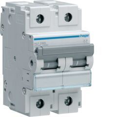 2P 125A Otomatik Sigorta 10kA C Eğrisi