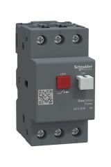 Schneider (GZ1LE08) EasyPact TVS Motor Koruma Şalt Many 4A