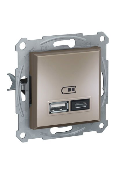Schneider (EPH2700369) USB Prizi, 2.4A, ikili, Type A+C, bronz