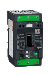 Schneider (GV4PEM25N) TeSys GV4 Motor Devre Kesici Çok Fonk. 3P 25A 50kA