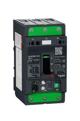Schneider (GV4PEM115N) TeSys GV4 Motor Devre Kesici Çok Fonk. 3P 115A 50kA