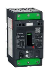 Schneider (GV4PE80S) TeSys GV4 Motor Devre Kesici Termik Many. 3P 80A 100kA