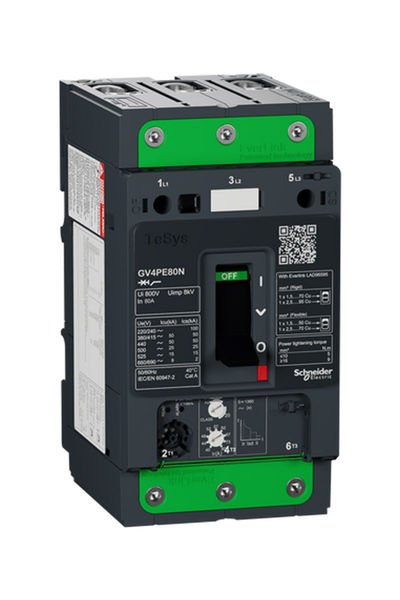 Schneider (GV4PE80N) TeSys GV4 Motor Devre Kesici Termik Many. 3P 80A 50kA