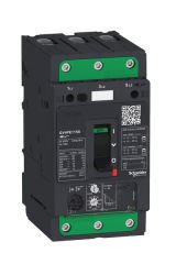 Schneider (GV4PE80B) TeSys GV4 Motor Devre Kesici Termik Many. 3P 80A 25kA