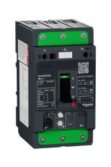 Schneider (GV4PE50S) TeSys GV4 Motor Devre Kesici Termik Many. 3P 50A 100kA