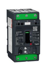 Schneider (GV4PE50B) TeSys GV4 Motor Devre Kesici Termik Many. 3P 50A 25kA