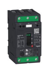 Schneider (GV4PE115S) TeSys GV4 Motor Devre Kesici Termik Many. 3P 115A 100kA
