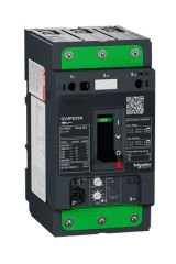Schneider (GV4PE03N) TeSys GV4 Motor Devre Kesici Termik Many. 3P 3.5A 50kA