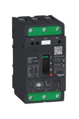 Schneider (GV4LE12N) TeSys GV4 Motor Devre Kesici Many. 3P 12.5A 50kA