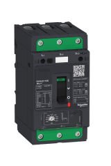 Schneider (GV4LE03N) TeSys GV4 Motor Devre Kesici Many. 3P 3.5A 50kA
