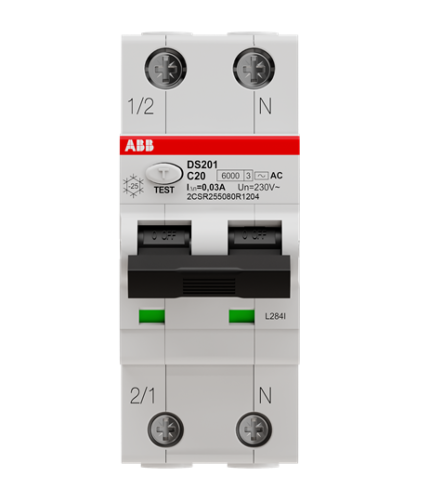 ABB 2CSR255080R1204 DS201 C20 AC30
