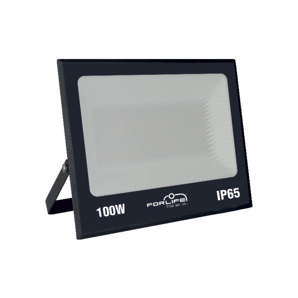 FORLIFE 100 Watt LED Projektör FL-1206 12-24 Volt  - Beyaz Işık (6500K)