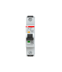ABB 2CDS381001R0064 S 301 P-C 6