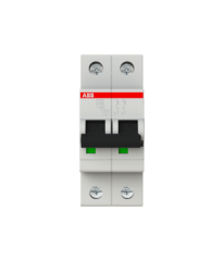 ABB 2CDS252001R0634 S 202-C 63 (2X63A W-Otomat C Tipi 6kA)
