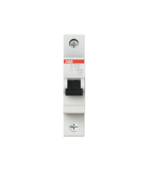 ABB 2CDS211001R0324 SH 201-C 32 (1X32A W-Otomat C Tipi 6kA)