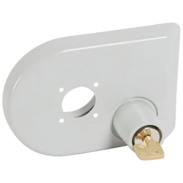 Legrand (26293) DPX³ 630/1600 serisi dönen kumanda kolları için kilit düz an