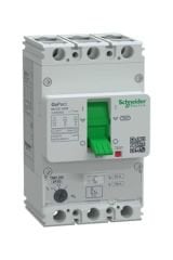 Schneider (G20B3A63) GOMCCB 200B 3P3D 63A Ayarlanabilir