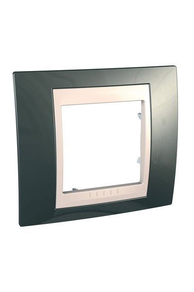 Schneider (MGU6.002.524) Şampanya-Fildişi Tekli çerçeve