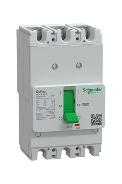 Schneider (G12F3F100) GOMCCB 125F 3P3D 100A Sabit