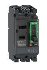 Schneider (C16F2TM125) DC Devre Kesici NSX160F 125A 2P 36KA AC/DC
