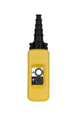 Schneider (XACA291) PUSHBUTTON STATION (DBL SPEED)