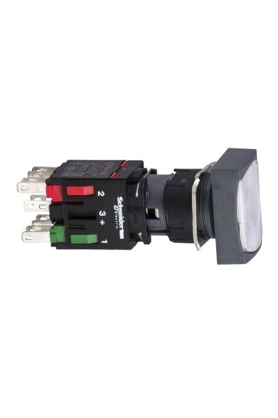 Schneider (XB6DW1B1B) RECT.ILL.PUSH-B-WHITE NO