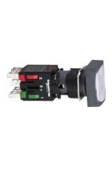 Schneider (XB6DW1B1B) RECT.ILL.PUSH-B-WHITE NO