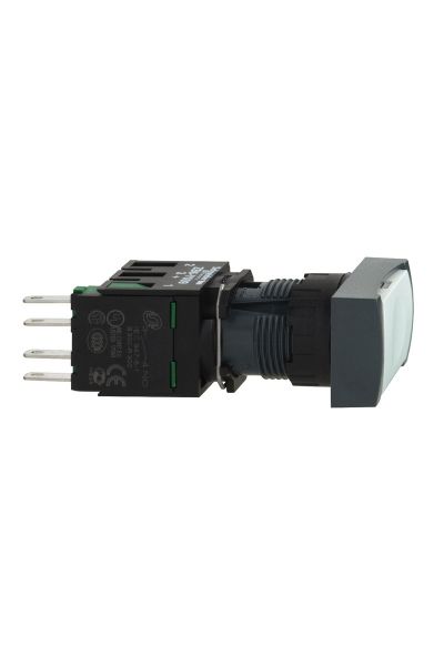 Schneider (XB6DA11B) RECT.PUSH BUT.WHITE NO